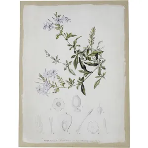 Asrt Floral Canvas Print