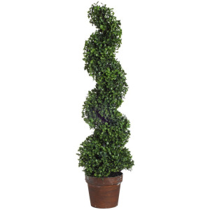 3' SPIRAL BOXWOOD TREE