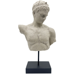 Male Bust
