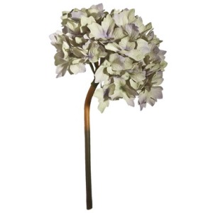 Smokey White Hydrangea Stem