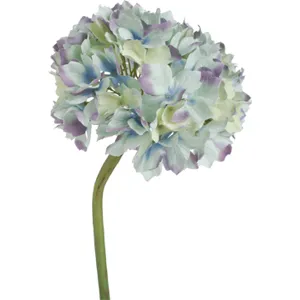 Blue Tinged Hydrangea Stem D
