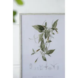 Essence Of Botanical Wall Art