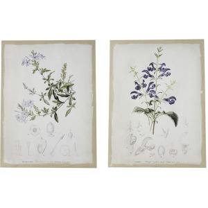 Asrt Floral Canvas Print
