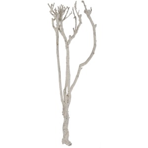 BRANCH D&Eacute;COR
