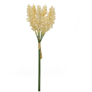 CREAM CEREAL PLANT BUNDLE