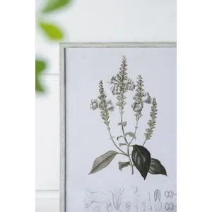 Essence Of Botanical Wall Art