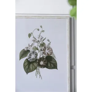 Essence Of Botanical Wall Art
