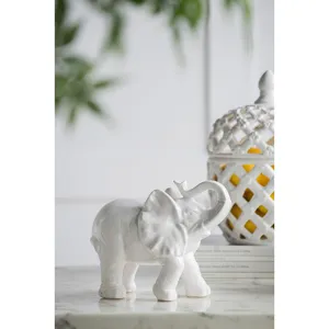 White Trumpeting Elephant