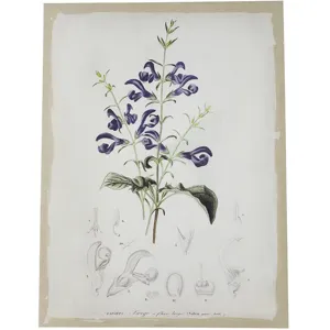 Asrt Floral Canvas Print