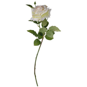 26" REAL TOUCH CREAM ROSE