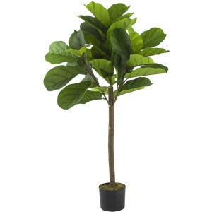 FIDDLE FIG LEAF TREE X