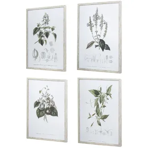 Essence Of Botanical Wall Art