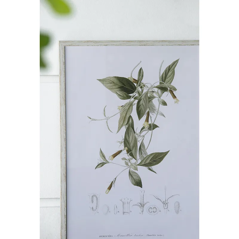 Essence Of Botanical Wall Art