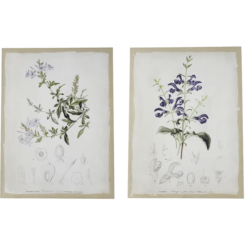 Asrt Floral Canvas Print