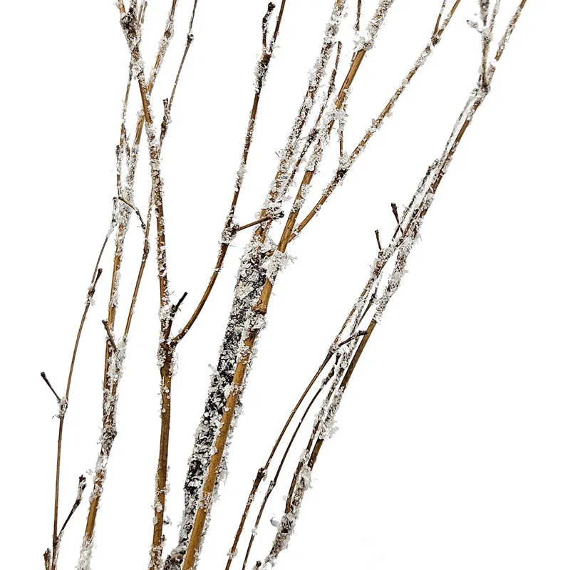 Snow Bamboo Branch
