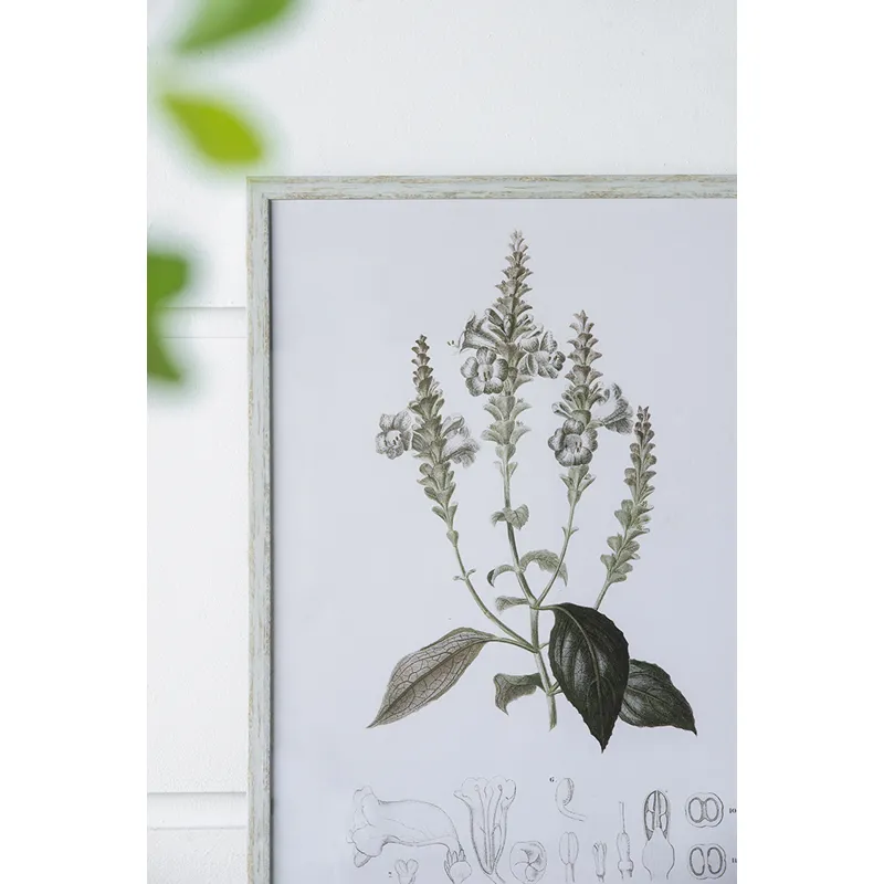 Essence Of Botanical Wall Art