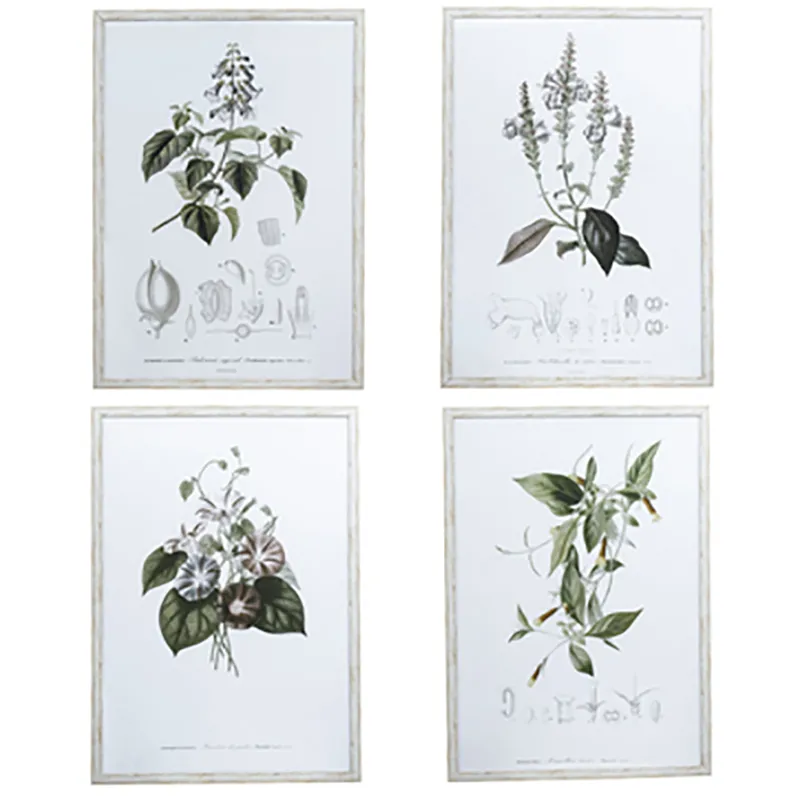 Essence Of Botanical Wall Art