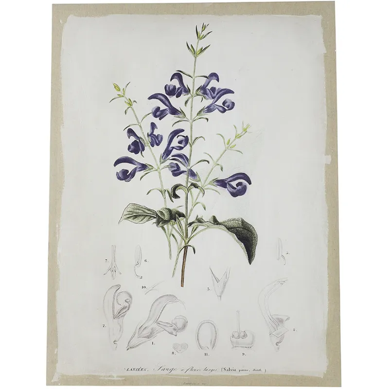 Asrt Floral Canvas Print