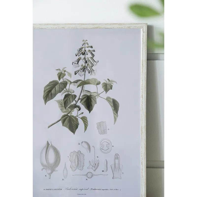 Essence Of Botanical Wall Art
