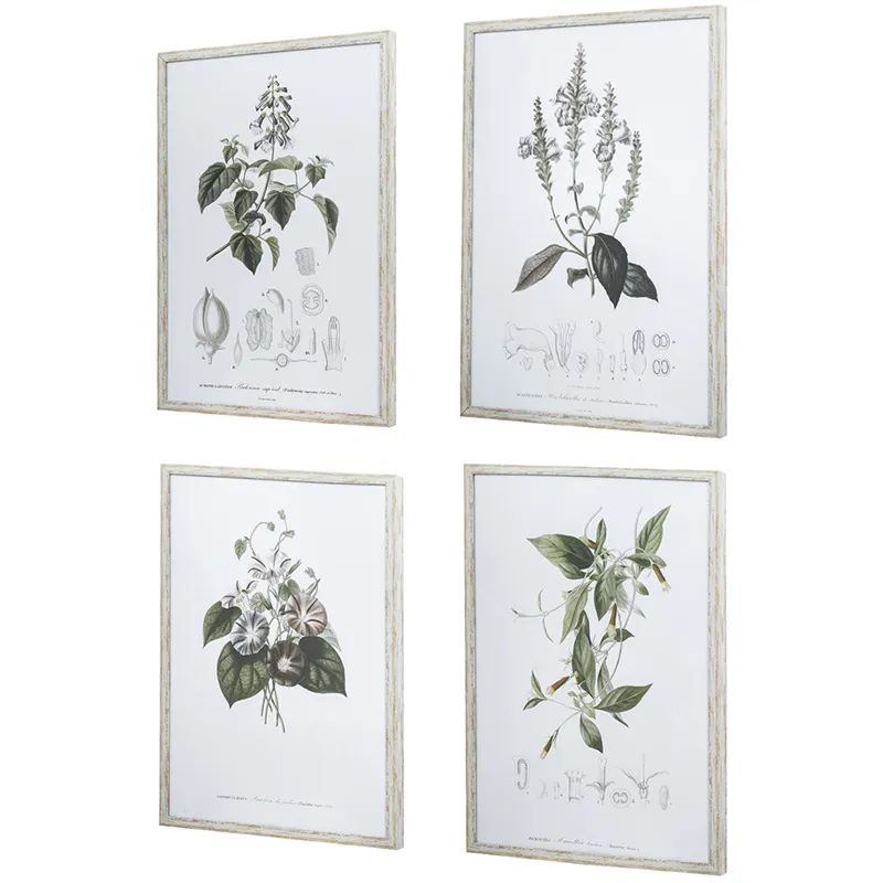 Essence Of Botanical Wall Art