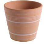 Terra Nova Pot