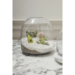 Oliver Terrarium