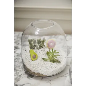 Oliver Terrarium