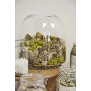 Oliver Terrarium
