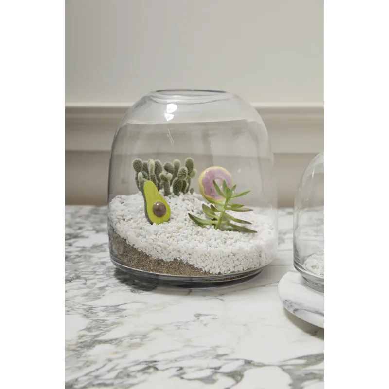 Oliver Terrarium
