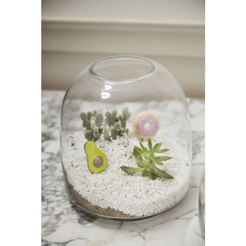 Oliver Terrarium