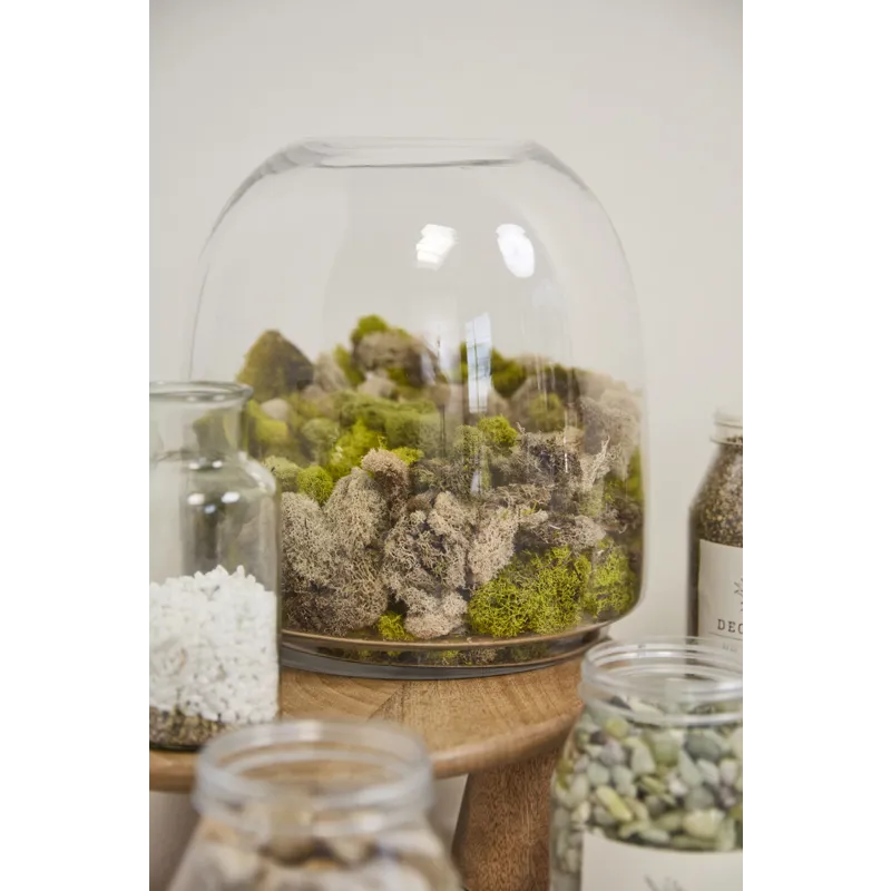 Oliver Terrarium