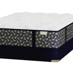 Preferred Streamline Luxury Firm Mattress