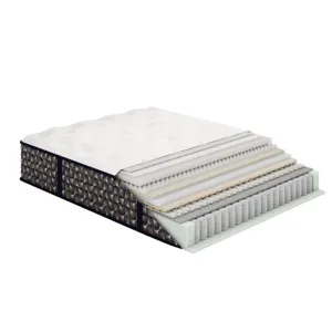 Streamline M1 Plush Mattress