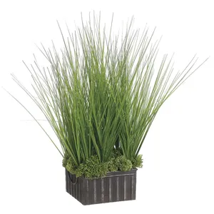 Sedum/Grass In Tin Container - Green