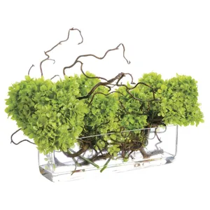 Curly Willow with Cone Hydrangea in Glass Vase - Lime