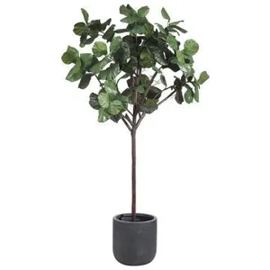 8.5' Fiddle Leaf Tree in Clay Planter Green
