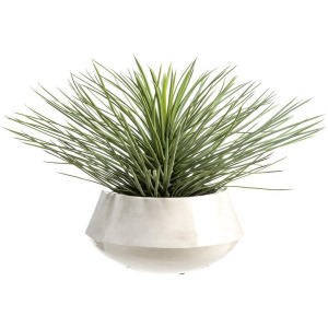 Whipple Yucca Plant in Iron Planter Green Flocked