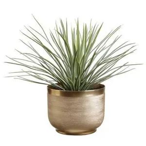 Yucca Plant in Textured Planter - Green Gray