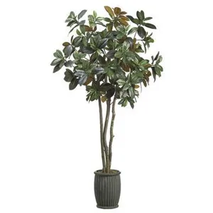 7' Magnolia Tree in Fiber Cement Planter Green Brown