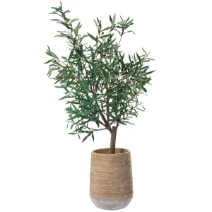 Olive Tree in Cement Planter Green