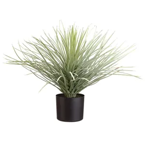 19" Whipple Yucca in Plastic Nursery Pot - Green Flocked