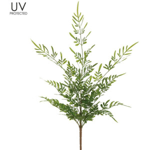 5' Bird of Paradise Plant in Plastic Pot - Green