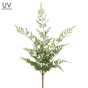 5' Bird of Paradise Plant in Plastic Pot - Green