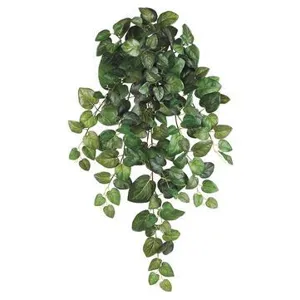 32" Round Swedish Ivy Hanging Bush Green