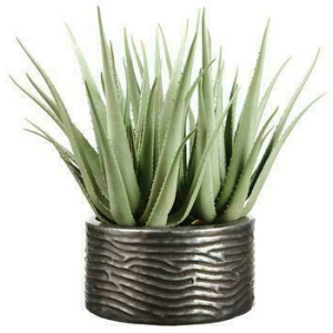 Agave Plant in Ribbed Planter Green