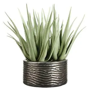 Agave Plant in Ribbed Planter Green