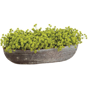 Baby Breath in Tin Oval Container - Green