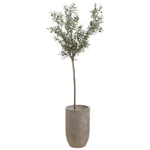 8' Olive Tree in Cement Planter Green