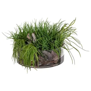Soft Grass/Wood in Glass Vase - Green