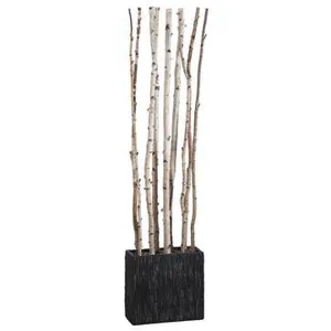 7.5' Birch Divider in Rectangular Container - White